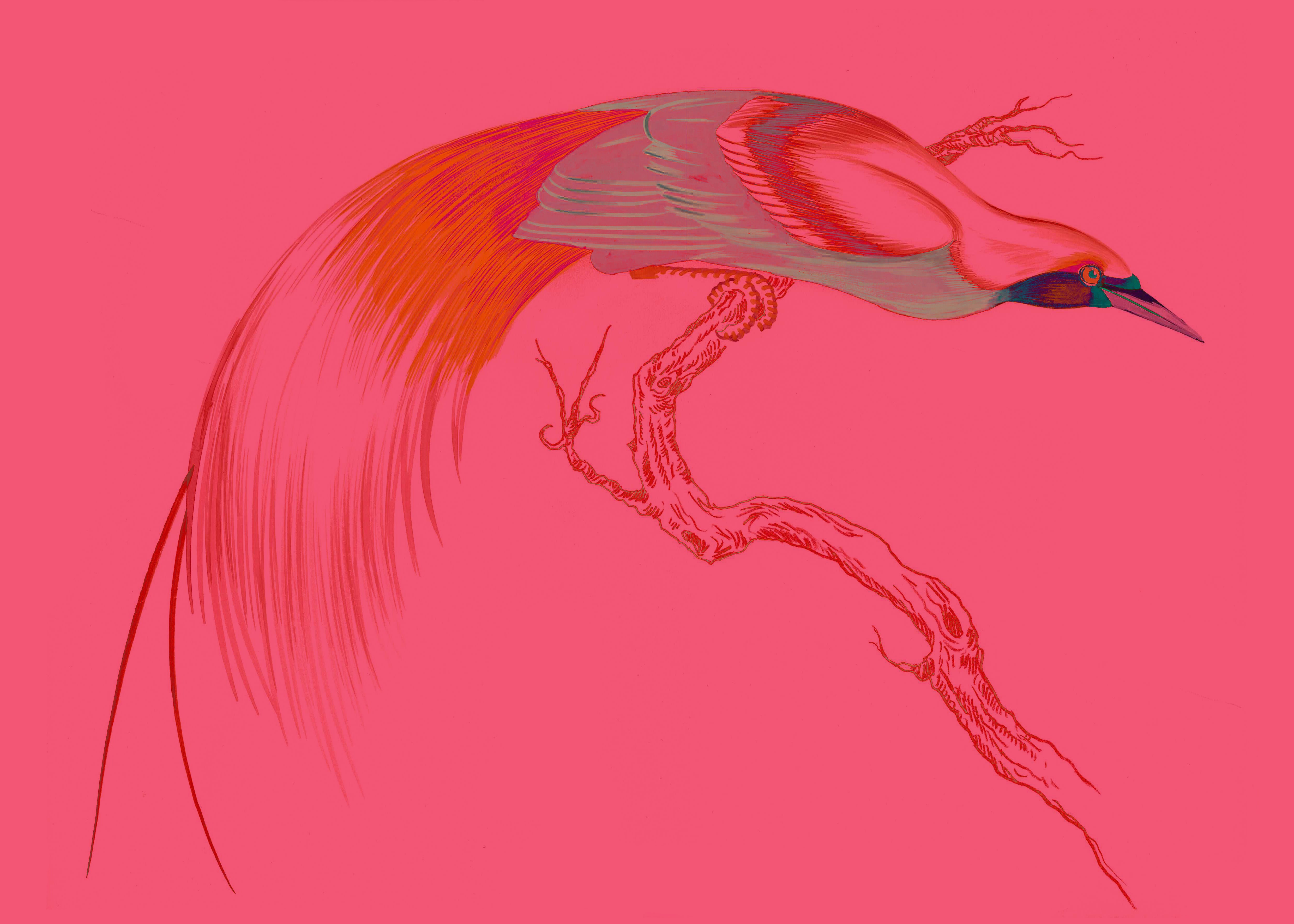 "Swoop & Sway 4" by Metin Salih