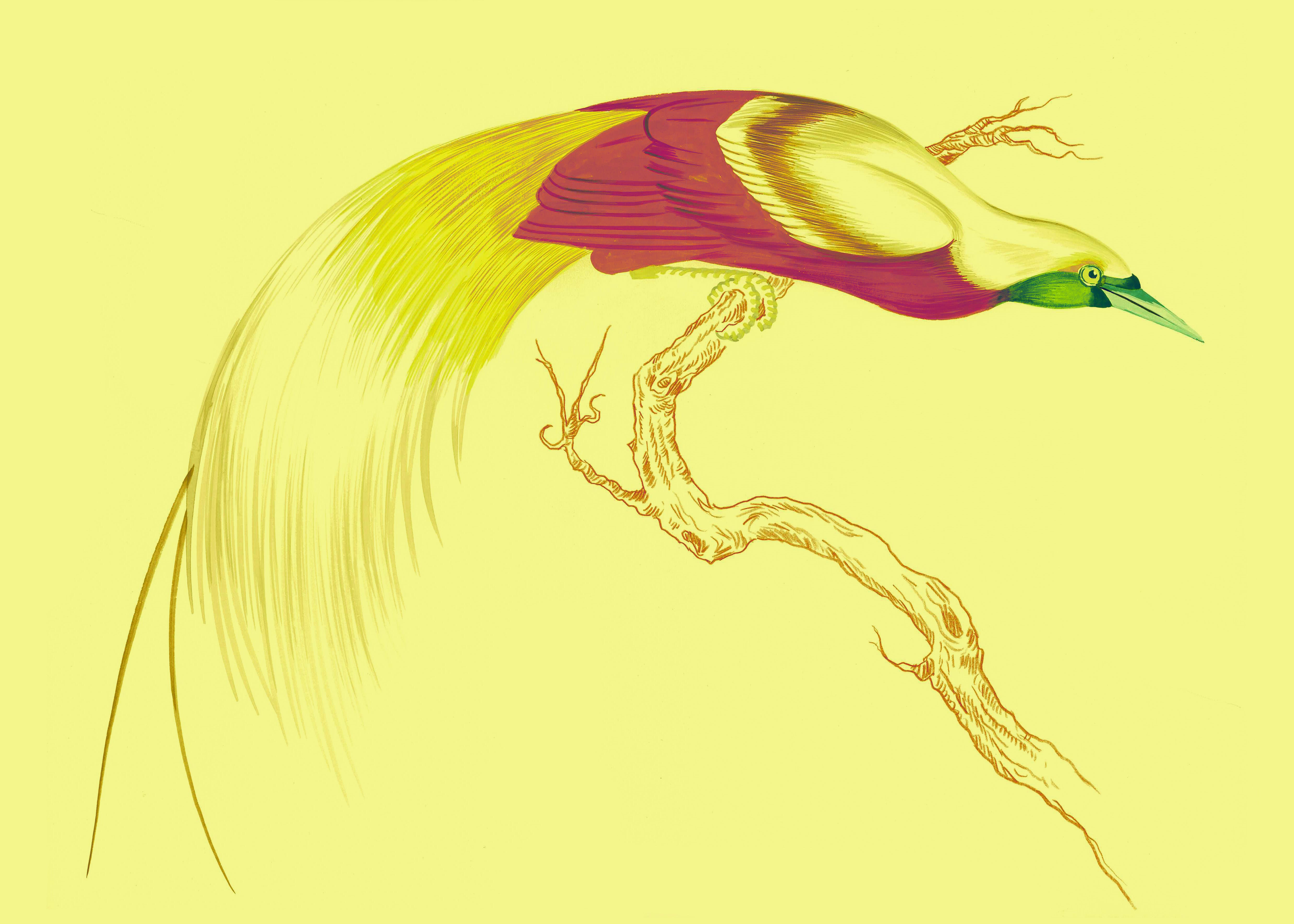 "Swoop & Sway 5" by Metin Salih