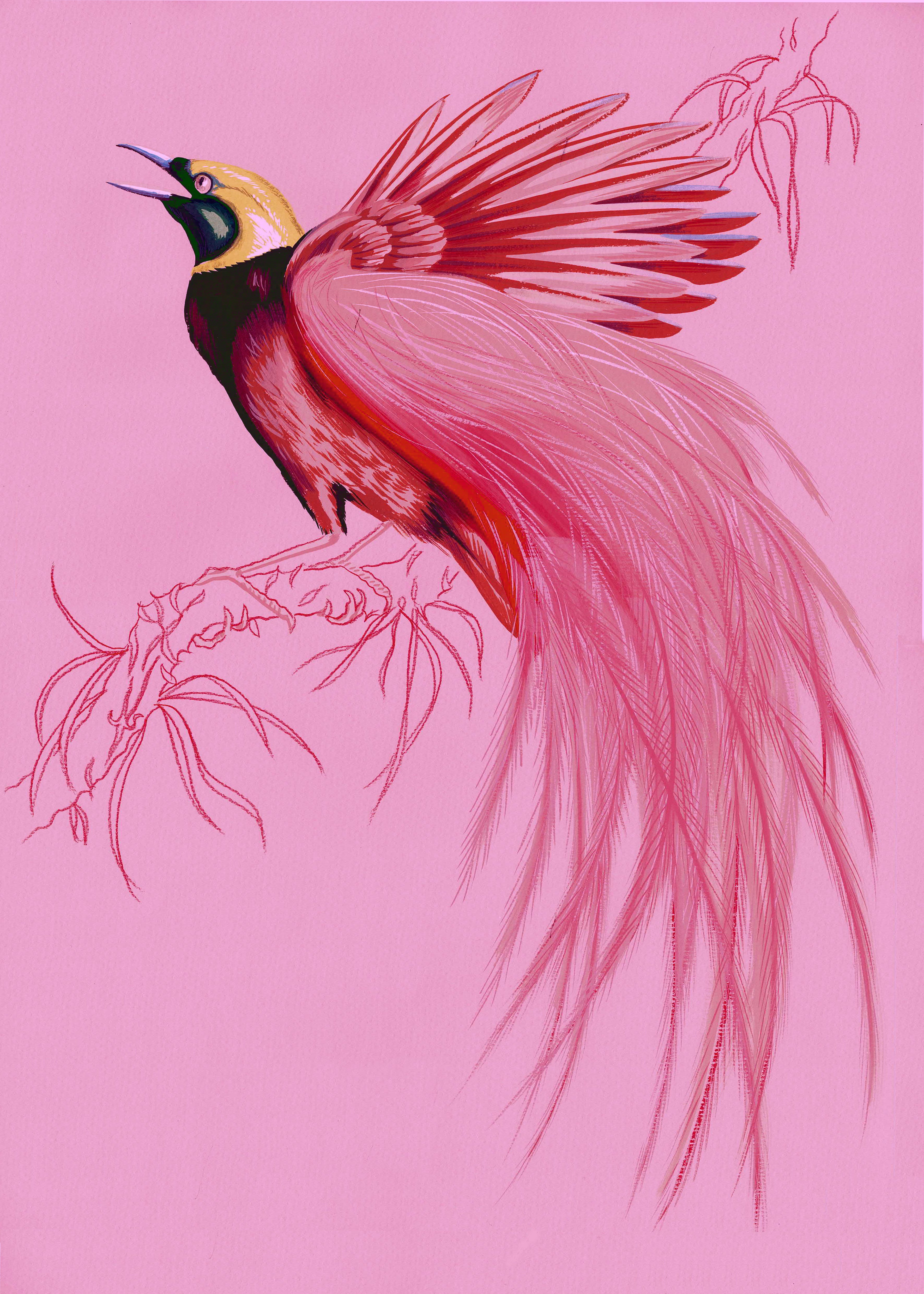 "Sugar Boo 2" by Metin Salih