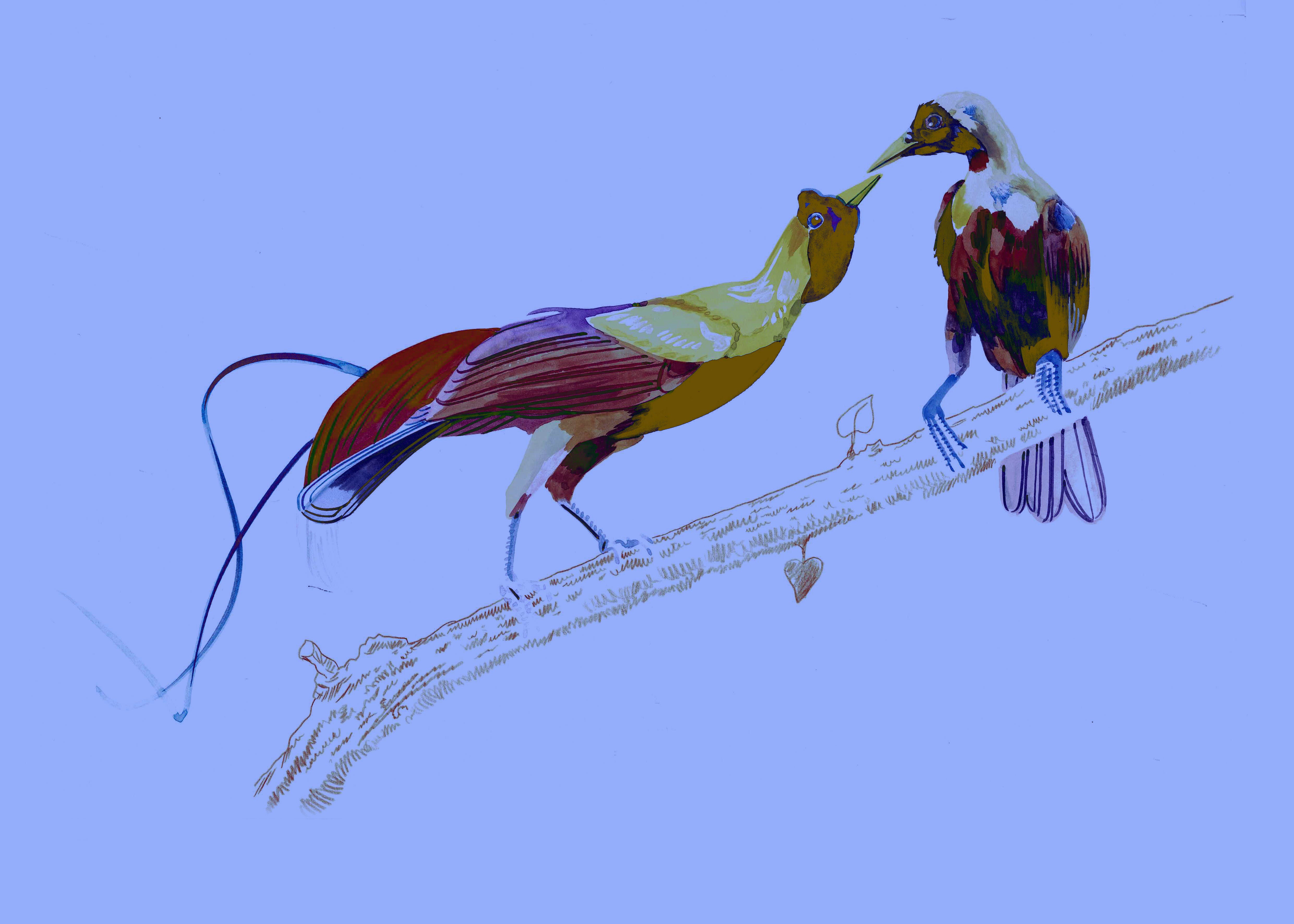 "The Love Birds 3" by Metin Salih