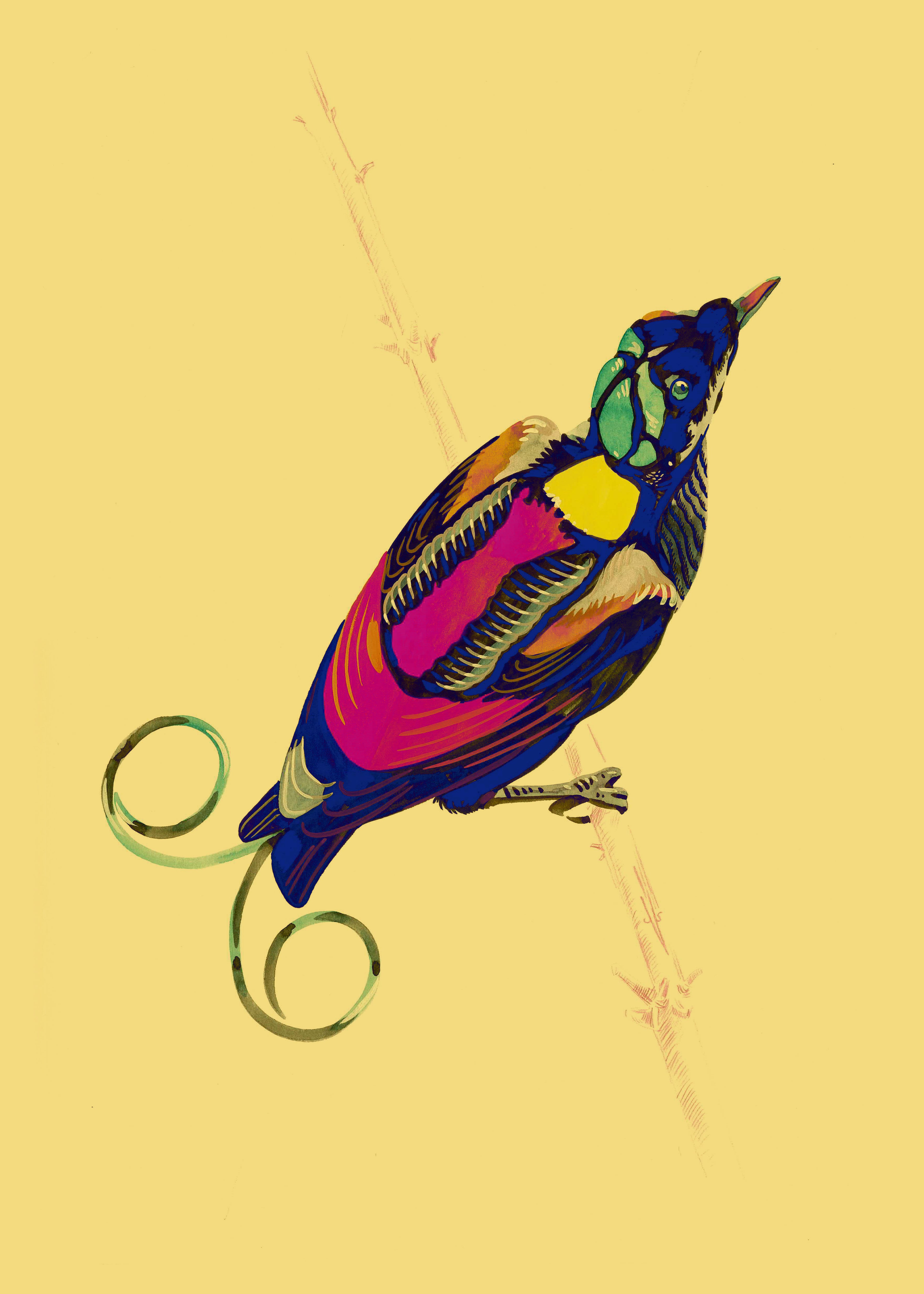 "Studio 96 4" by Metin Salih