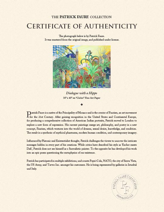 "Dialogue with a Hippo" by Patrick Faure-Artography Limited