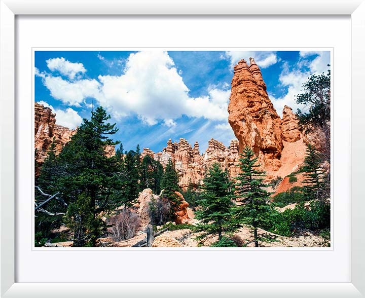 "Overlooking" by Robert Manno Photography