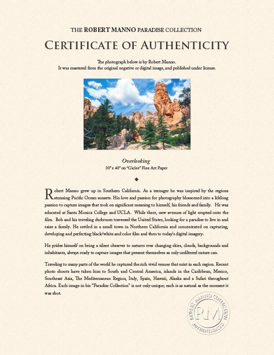 "Overlooking" by Robert Manno Photography-Artography Limited