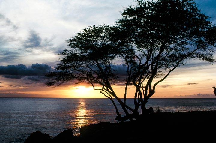 "On the Horizon" by Robert Manno Photography