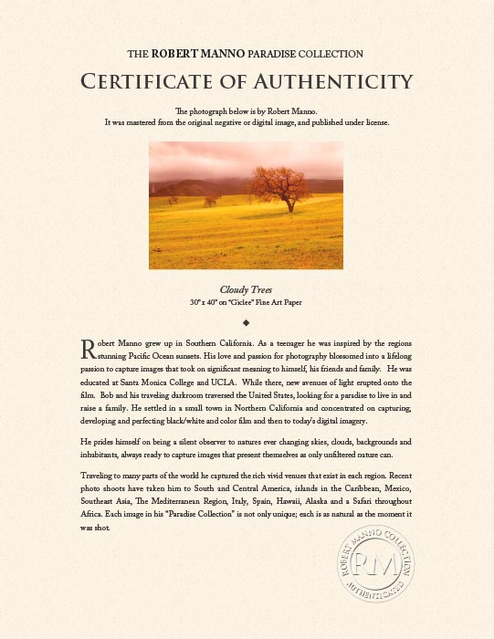 "Cloudy Trees" by Robert Manno Photography-Artography Limited