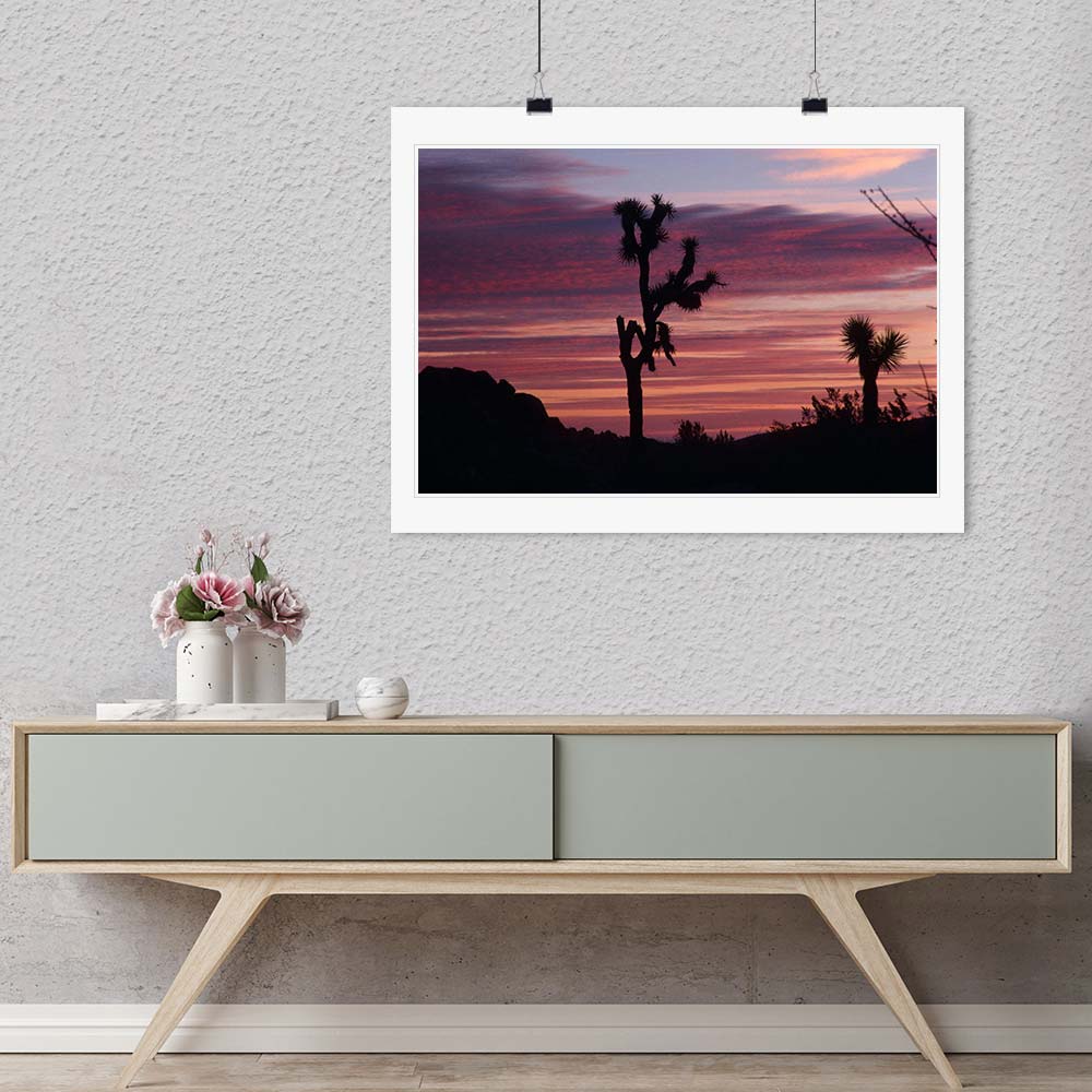 "Cacti Set" by Robert Manno Photography-Artography Limited