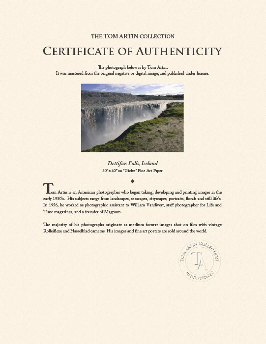 "Dettifoss Falls, Iceland" by Tom Artin Photography-Artography Limited