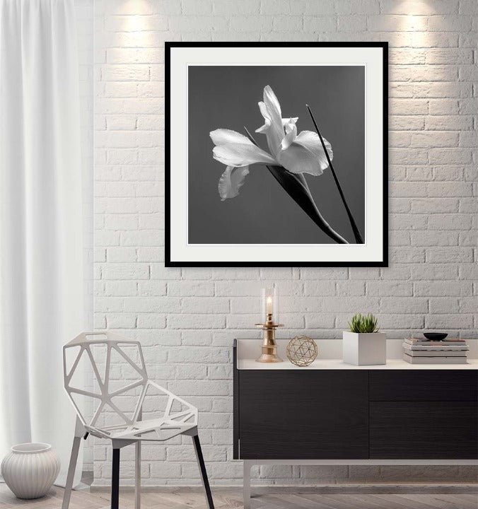 "Iris" by Tom Artin Photography-Artography Limited