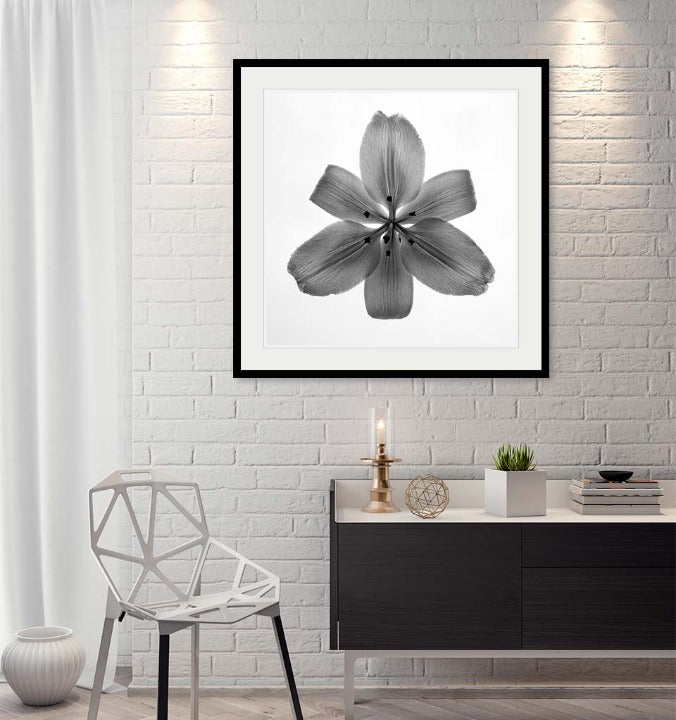 "Lily" by Tom Artin Photography-Artography Limited