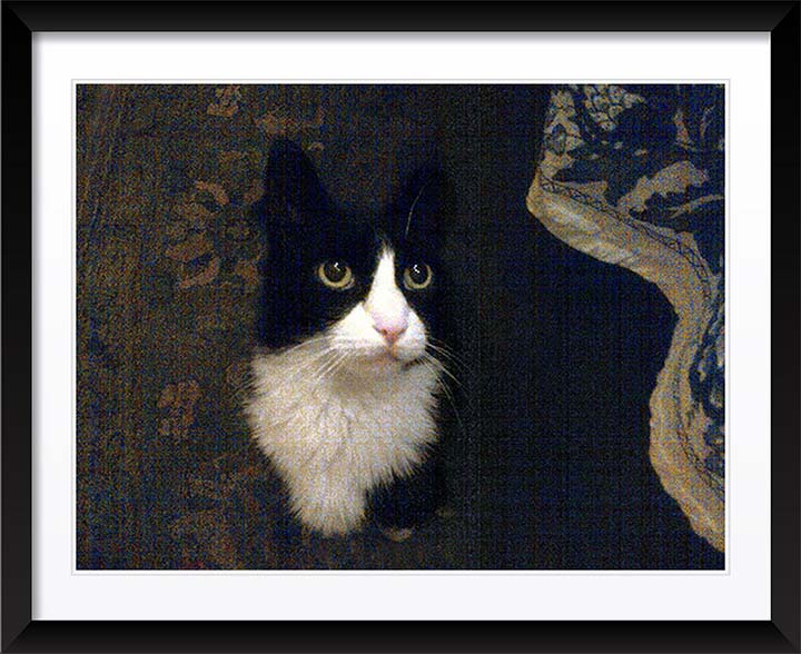 "Favorite Cat" by Tom Artin Photography