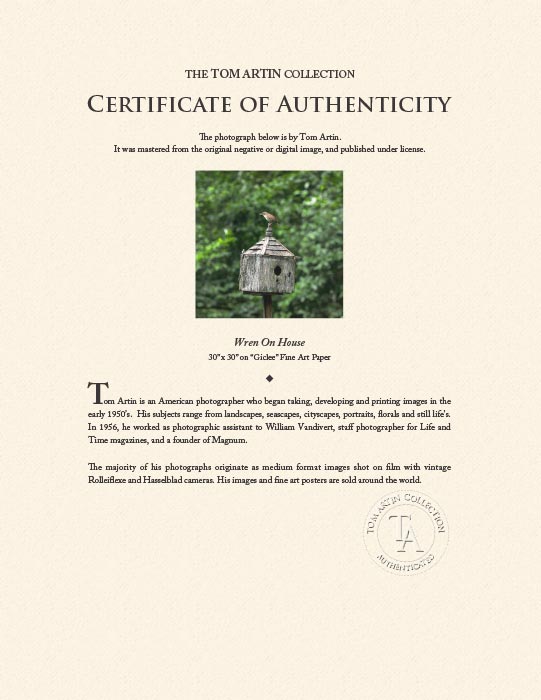 "Wren On House" by Tom Artin Photography-Artography Limited