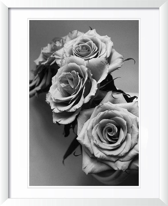 "Roses" by Tom Artin Photography