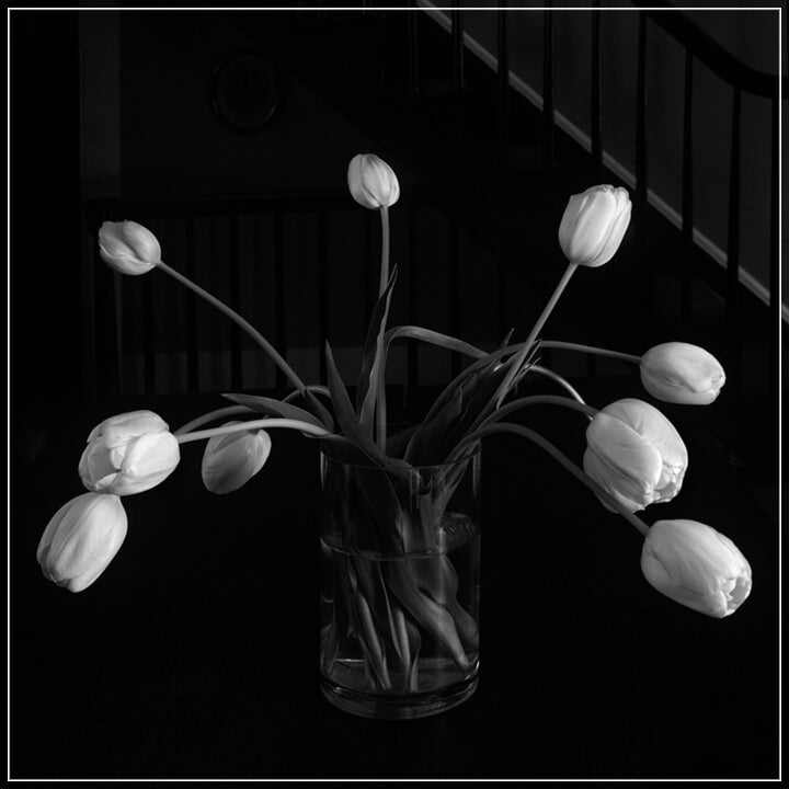 "Tulips In Vase" by Tom Artin Photography-Artography Limited
