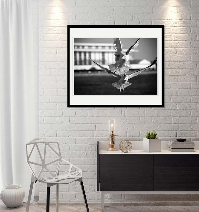 "Kennedyan Birds" by Viet Chu Photography-Artography Limited