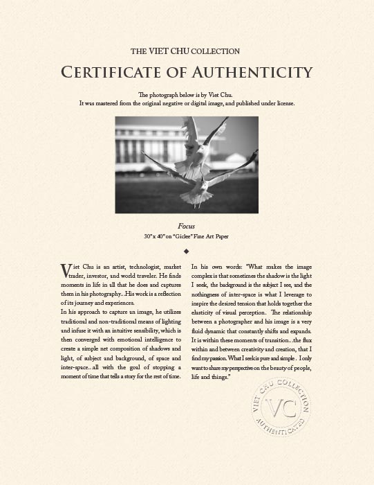 "Kennedyan Birds" by Viet Chu Photography-Artography Limited