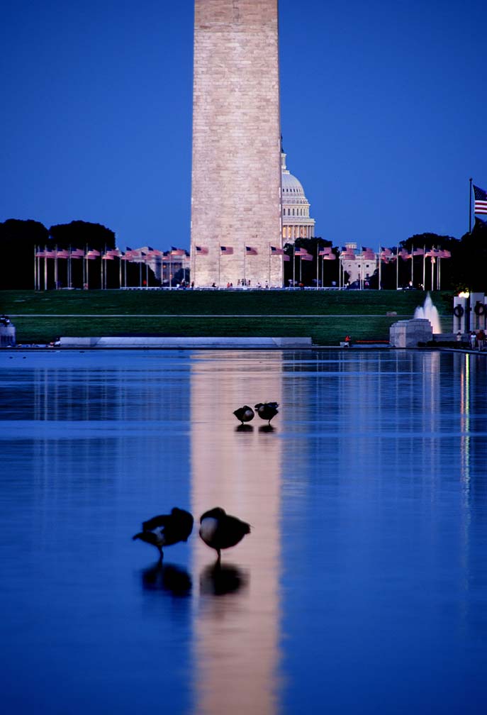Reflecting Pool, Washington DC Photography by Viet Chu