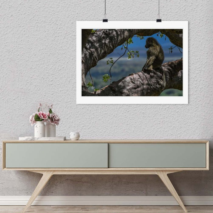 "Baboon Watch" by Viet Chu Photography-Artography Limited