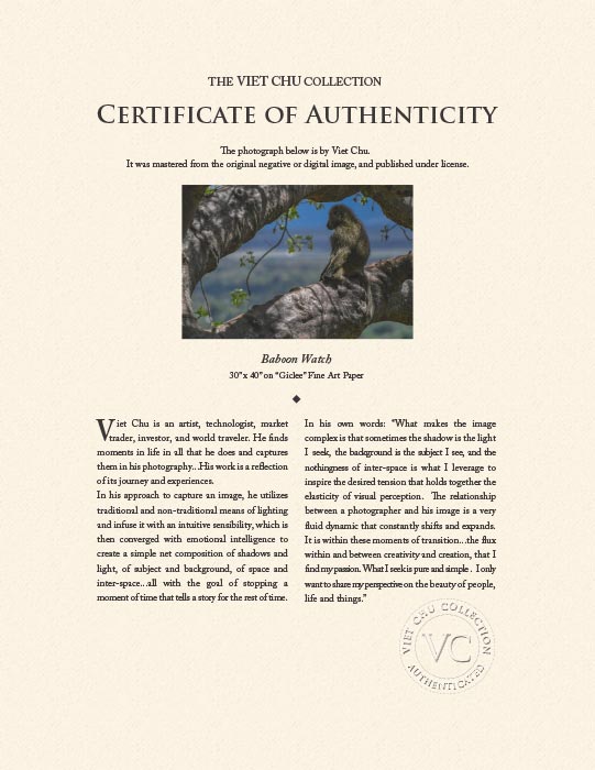 "Baboon Watch" by Viet Chu Photography-Artography Limited