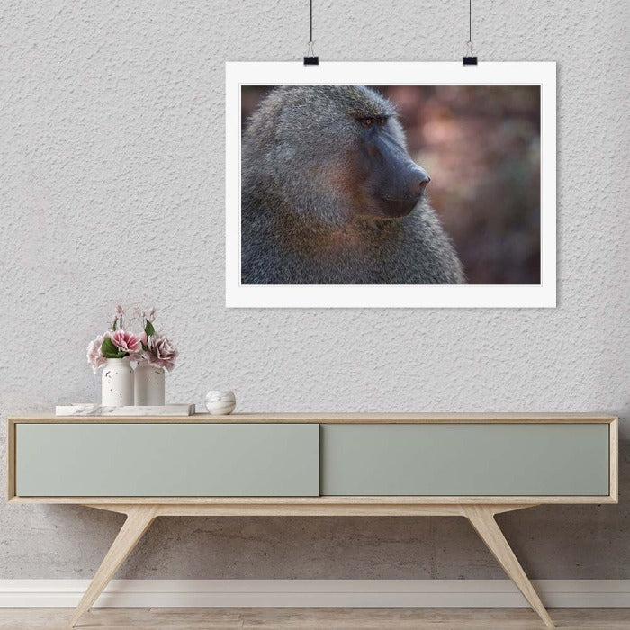 "Profile of a Baboon" by Viet Chu Photography-Artography Limited