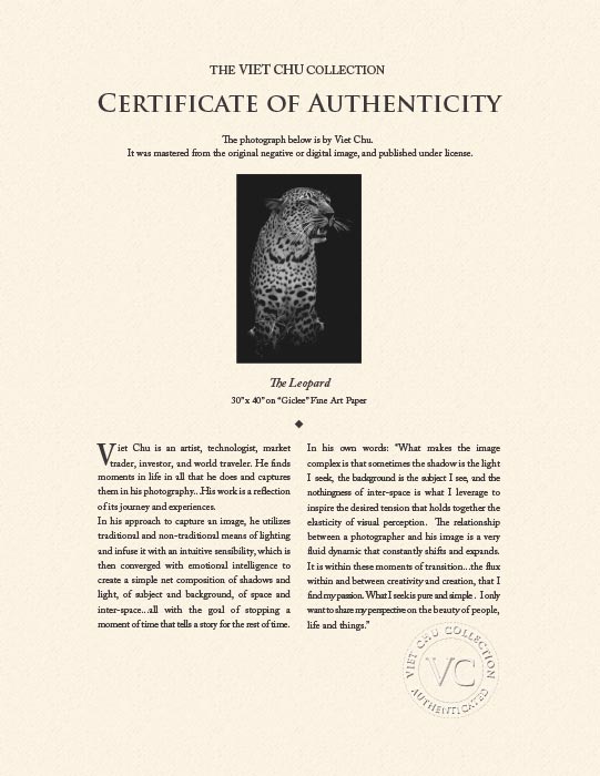 "The Leopard" by Viet Chu Photography-Artography Limited