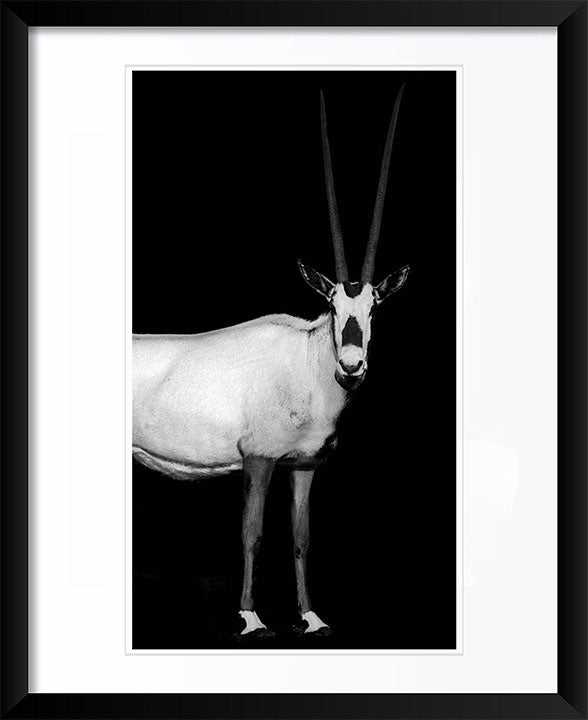 "The Rolling Stones, 1989"