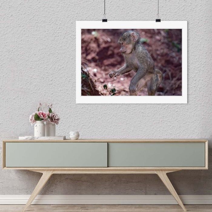 "Baby Baboon" by Viet Chu Photography-Artography Limited