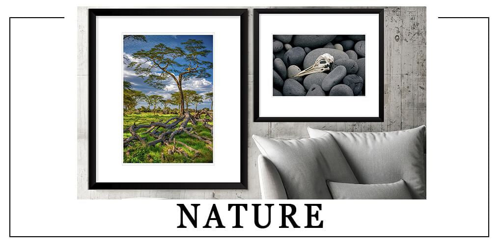 Nature-Artography Limited Shop