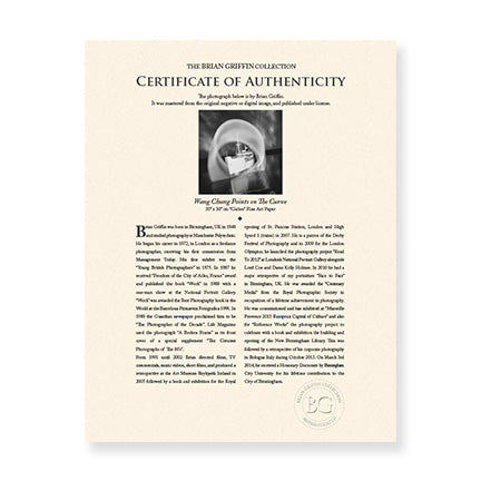 "Billy Idol 2" - Photographic Wall Art