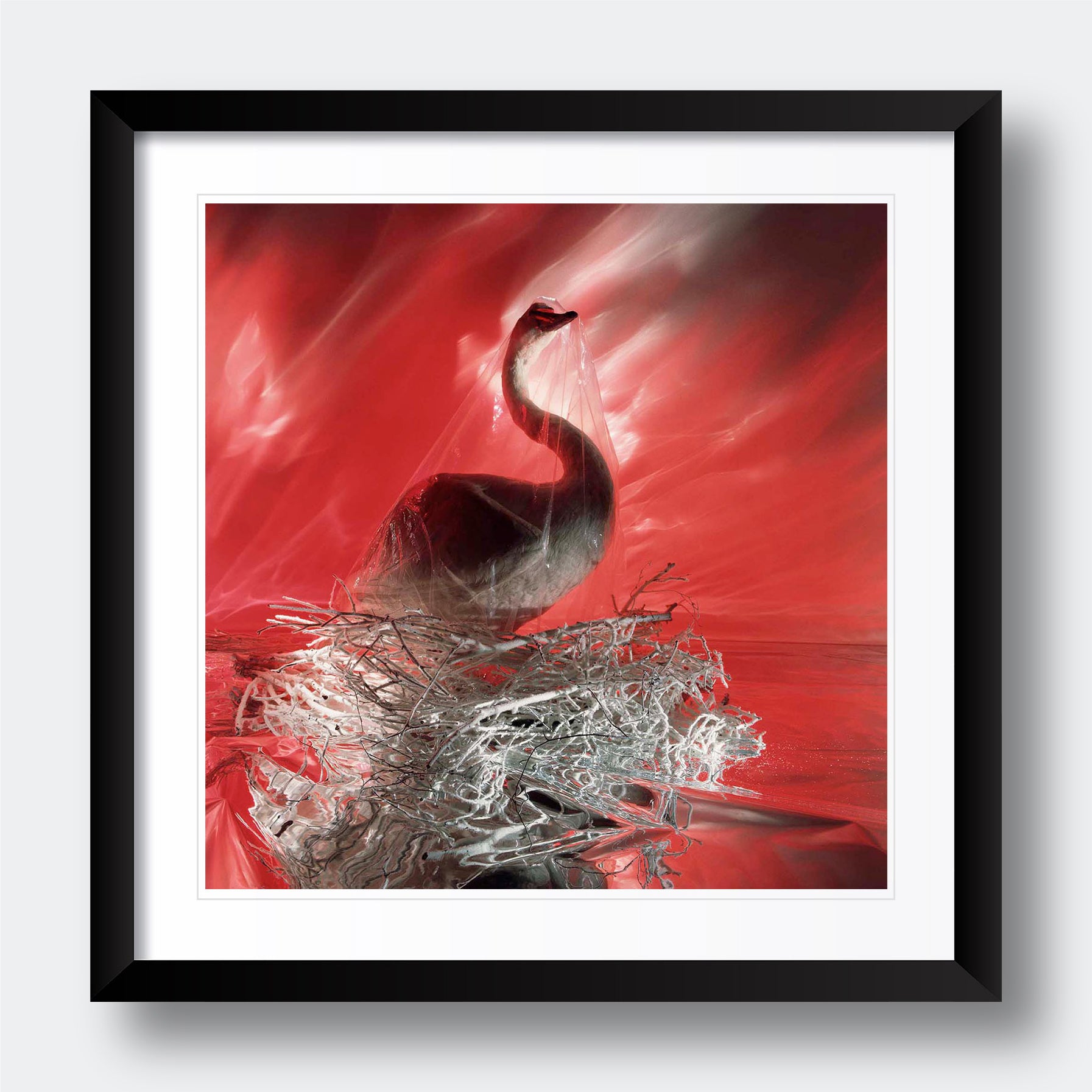 Stuffed Swan - Photography Wall Art