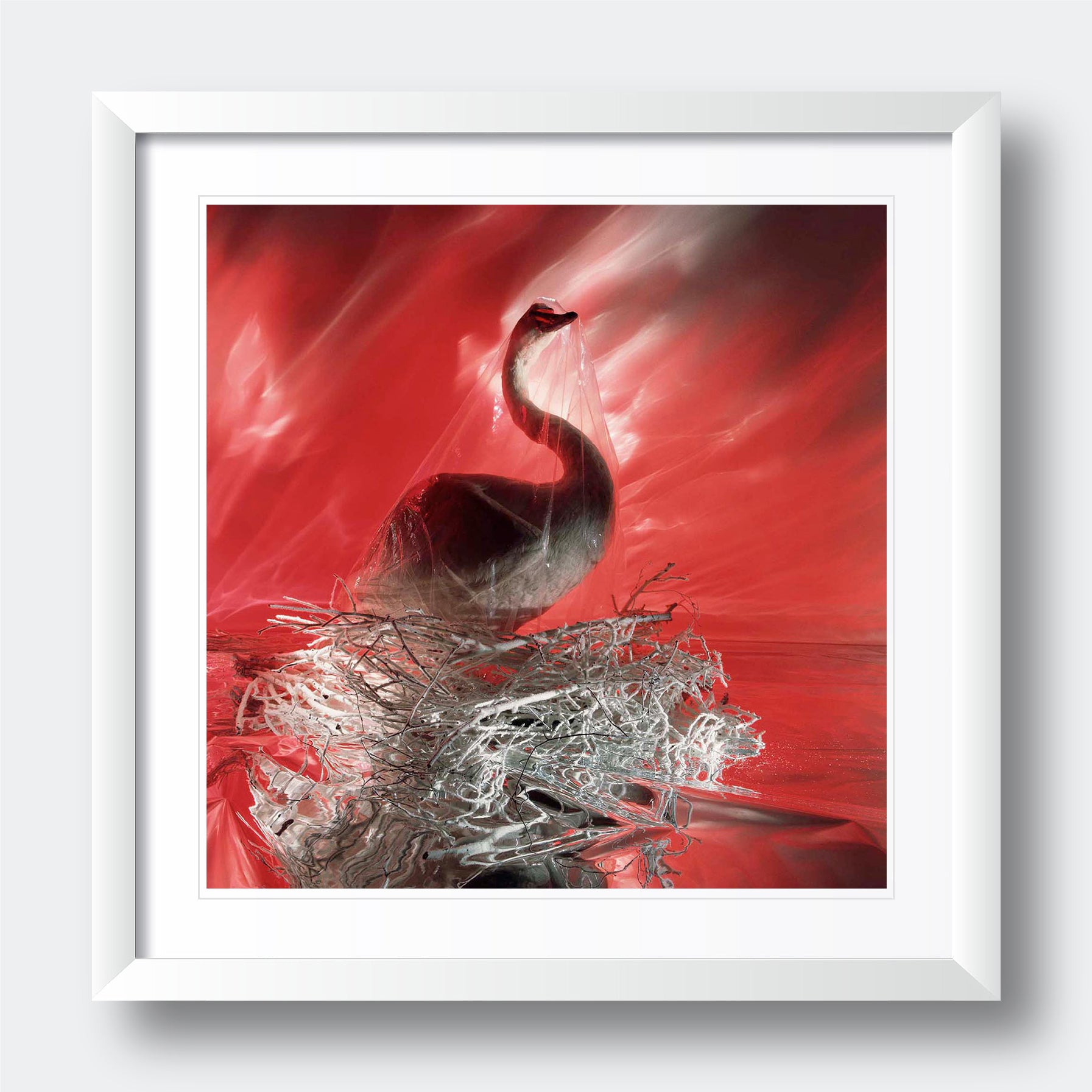 "Stuffed Swan" - Photographic Wall Art