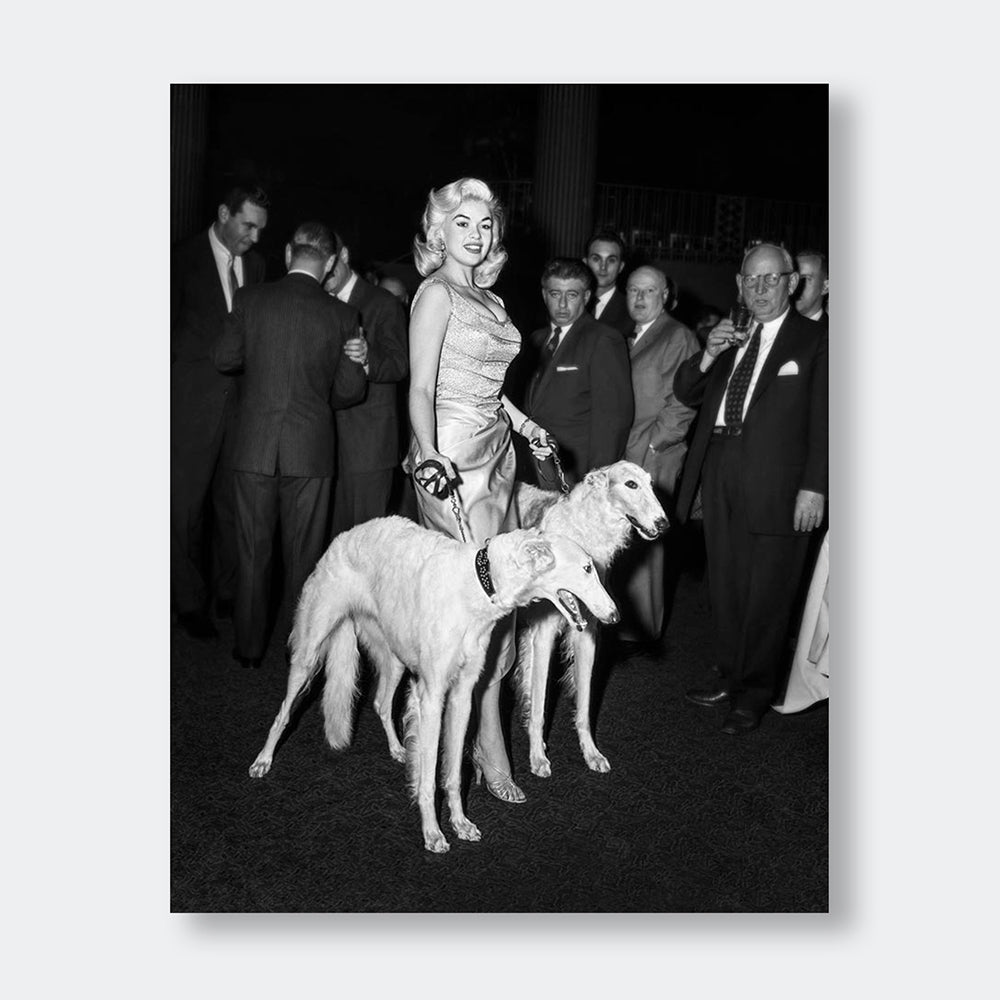 "Jayne Mansfield with Seagrams Dogs" - Celebrity Photography