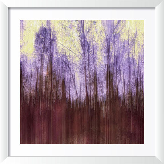 Purple Trees