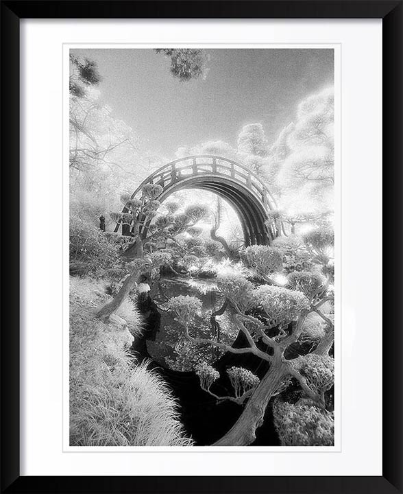 "Chinese Tea Garden" by Daniel Furon Photography