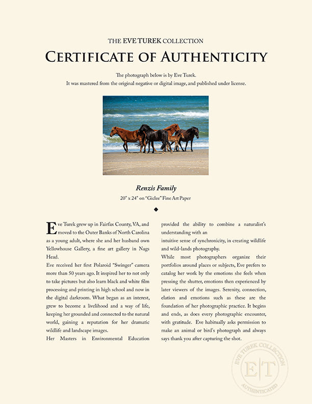 "Renzis Family" by Eve Turek Photography