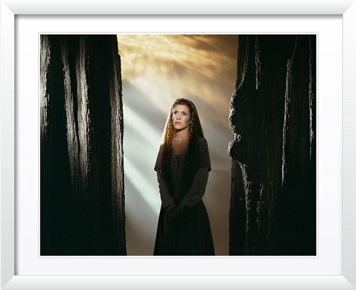 Princess Leia | Star Wars Photography Artwork by Brian Griffin