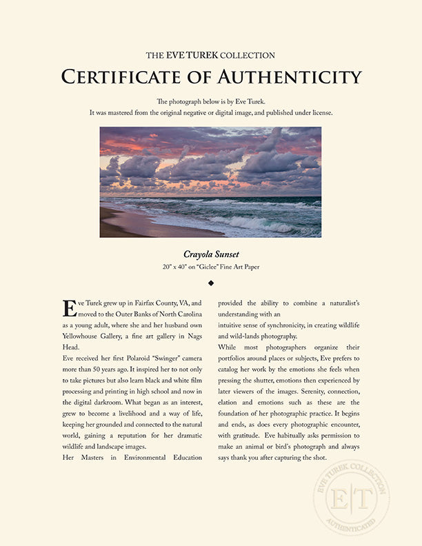 "Crayola Sunset" by Eve Turek Photography