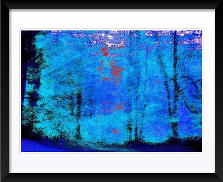 "Blue Trees" by Daniel Furon Photography