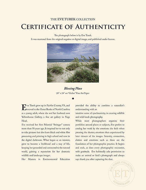 "Blessing Place" by Eve Turek Photography