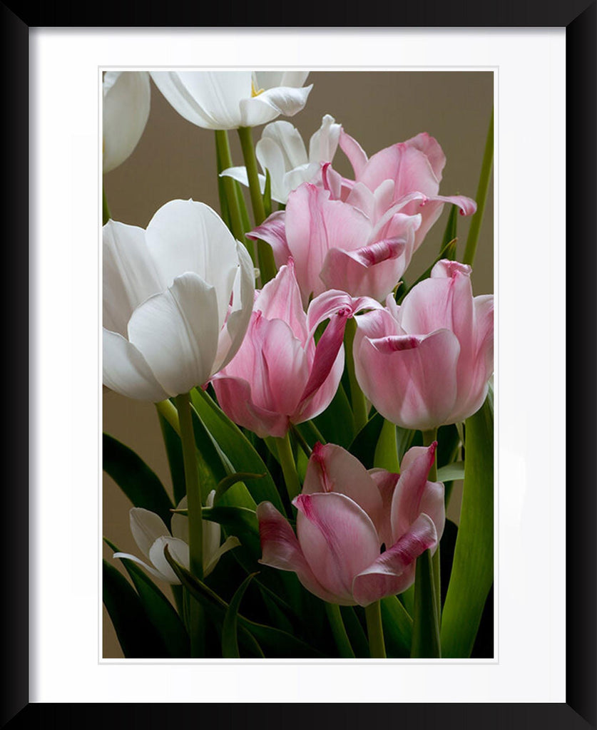 "Easter Tulips" by Tom Artin Photography