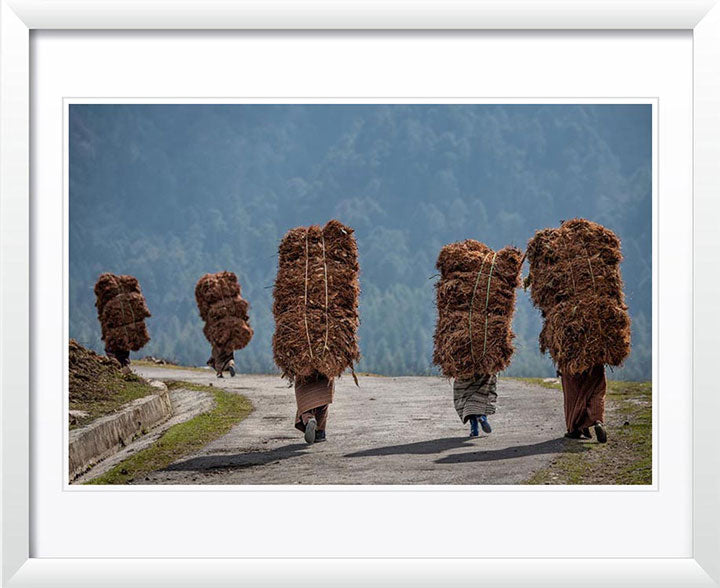 "Heavy Load" by Dorte Verner Photography