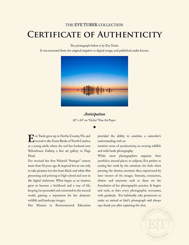 "Anticipation" by Eve Turek Photography