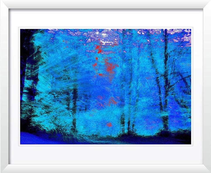 "Blue Trees" by Daniel Furon Photography