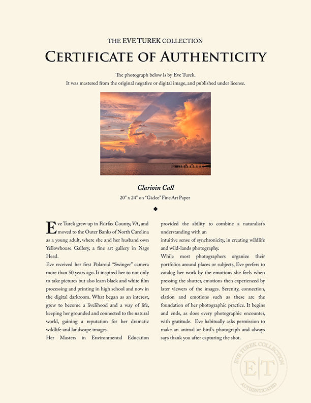 "Clarioin Call" by Eve Turek Photography