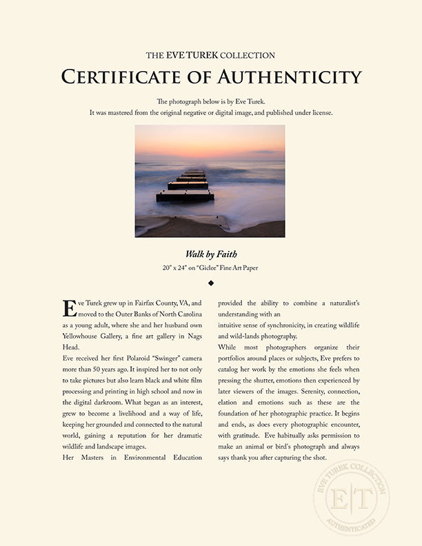 "Walk by Faith" by Eve Turek Photography