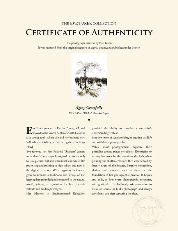 "Aging Gracefully" by Eve Turek Photography