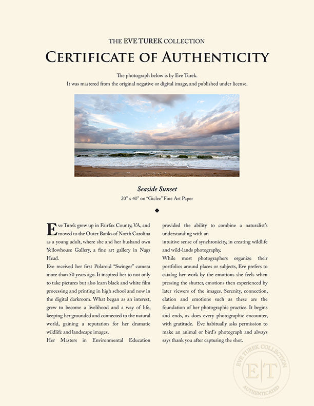 "Seaside Sunset" by Eve Turek Photography