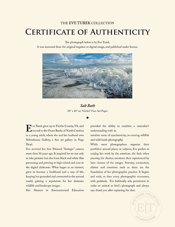 "Salt Bath" by Eve Turek Photography