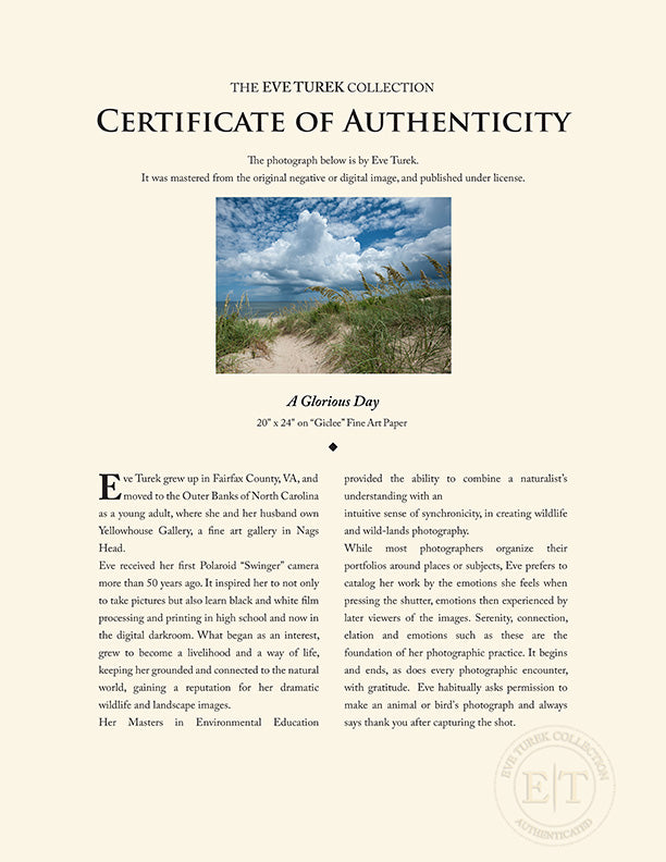 "A Glorious Day" by Eve Turek Photography