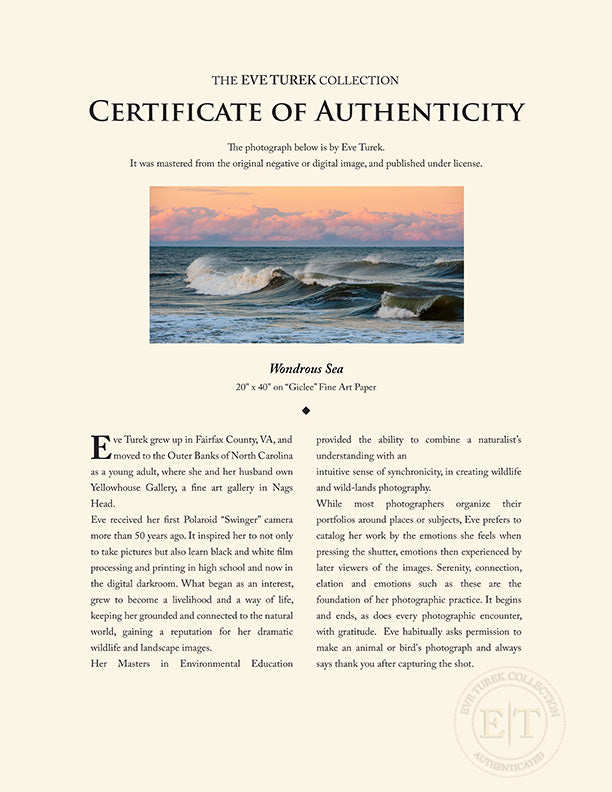 "Wondrous Sea" by Eve Turek Photography